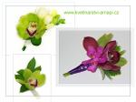 korsáž na svatbu z orchidejí pro ženicha, svědka a tatínky