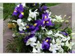 převislá svatební kytice z orchidejí a irisů