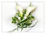svatební polštářek na prstýnky, květiny: bílé kaly